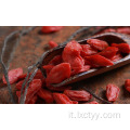 Importa bacche di goji biologiche